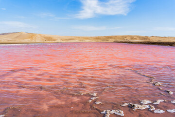 View of the pink salt lagoon set against the desert dunes in Paracas National Reserve, Peru.