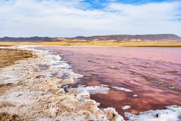 View of the pink salt lagoon set against the desert dunes in Paracas National Reserve, Peru.