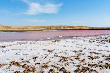 View of the pink salt lagoon set against the desert dunes in Paracas National Reserve, Peru.