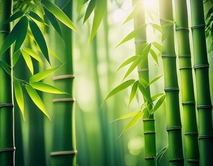 serene background of lush green bamboo stalks dappled sunlight filtering through leaves creating a peaceful and tranquil atmosphere ideal for zen nature and wellness themes wallpaper stalks