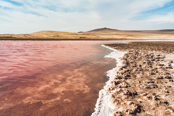 View of the pink salt lagoon set against the desert dunes in Paracas National Reserve, Peru.