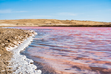 View of the pink salt lagoon set against the desert dunes in Paracas National Reserve, Peru.