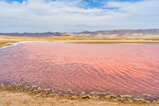 View of the pink salt lagoon set against the desert dunes in Paracas National Reserve, Peru.