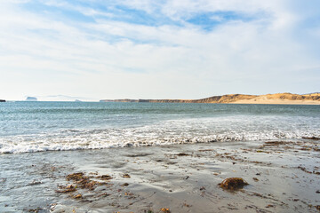 Dramatic landscape with the rocky coastline of the Pacific ocean in Paracas National Reserve, Peru.