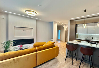 Modern luxury apartment interior in minimal scandinavian style, 3d rendering
