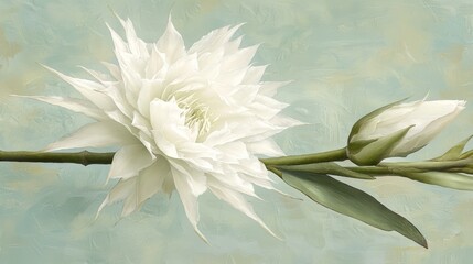 White flower with green leaves is on a stem. The flower is the main focus of the image, and the green leaves add a touch of color and contrast