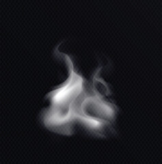 Steam smoke with ring and swirl shape realistic set white on dark transparent background