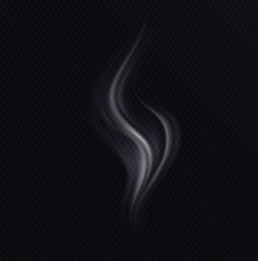 Steam smoke with ring and swirl shape realistic set white on dark transparent background