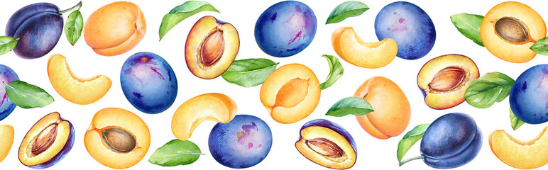 Watercolor fruit border design with apricots and plums isolated on white background. Horizontal seamless pattern.