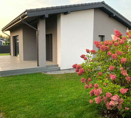 Modern luxury villa exterior in minimal scandinavian style, 3d render
