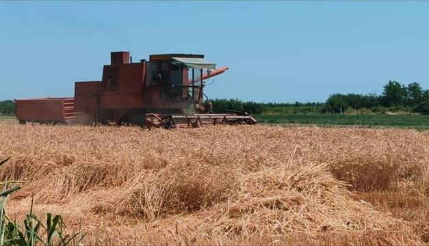 combine harvester on wheat field