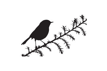 Fototapeta premium Three Bird Silhouette On White Background.01
