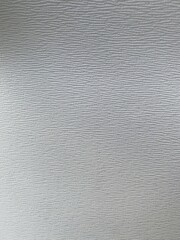 Close-up of a White Leather Texture