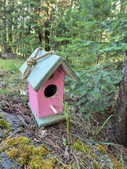 bird house