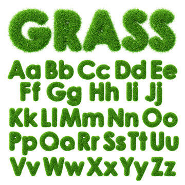 3d grass text with green fluffy font of English ABC alphabet. Fresh plant type effect. Render capital and small letters with soft furry herb texture. Nature, ecology, organic elements