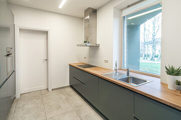 Modern luxury kitchen interior in minimal scandinavian style, 3d render