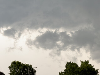 Clouds over the trees