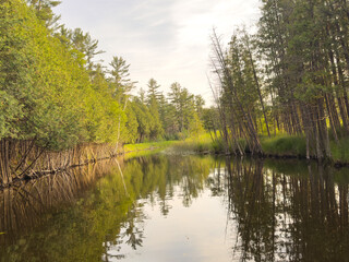 canal in the forest