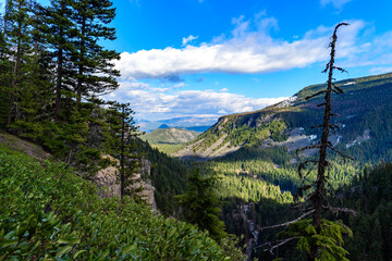 High mountains covered with dense forest, a lake in the distance. Montana, United States
