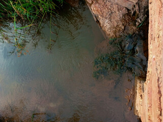 Clean community River flowing with green algae under the river. Under bridge river flowing with space for text or copy space.