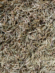 Close up of dried rosemary leaves. Thin needle like dried aromatic herbal leaves. Fragrant minty dry spices used as culinary herb, has medicinal and cosmetic applications. Full frame, macro view.