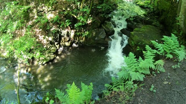 Small waterfall in Healey Dell Nature Reserve.