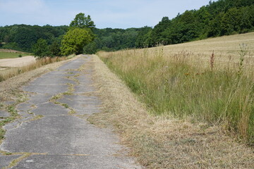 Bäuerliche Landschaft im Coburger Land bei Rödental im Sommer