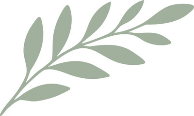 A minimalistic green botanical illustration of a leafy branch with a soft, natural aesthetic.