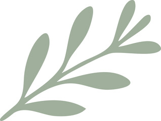 A minimalistic green botanical illustration of a leafy branch with a soft, natural aesthetic.