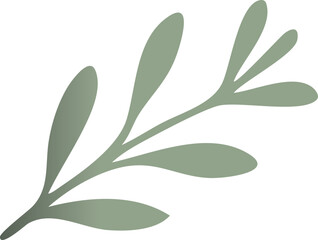 A simple flat illustration of a muted green botanical branch with stylized oval leaves on a black background.