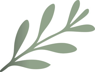 A simple flat illustration of a muted green botanical branch with stylized oval leaves on a black background.