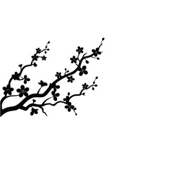 Cherry blossom branches vector silhouette