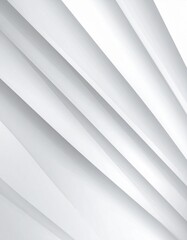 Fototapeta premium Abstract White and Grey Diagonal Lines Background