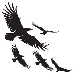 Flying Eagle Silhouette Vector Set for Wildlife, Tattoo, and Logo Design
