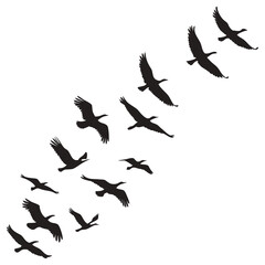 Flying Bird Flock Silhouette Vector Set for Nature, Logo, and Tattoo Design
