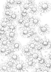 Bl&uuml;tenfall bee butterfly kamil