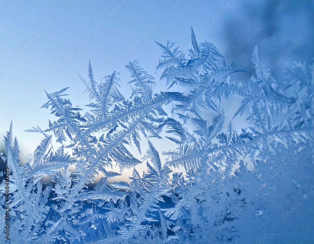 Poster intricate blue frost patterns on frozen window