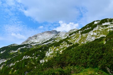 Mountain landscape bellow Debeli Vrh and Lazovški Preval with meadows and mugo pine in Julian alps, Gorenjska, Slovenia