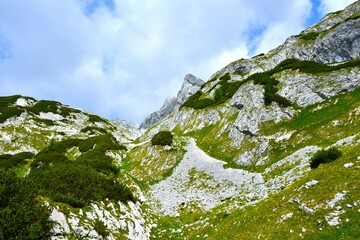 Beautiful mountain landscape in Julian alps, Gorenjska, Slovenia with green meadow, rocks and mugo pine