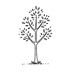 Elegant Hand-drawn Tree Illustration: A minimalist, hand-drawn tree stands tall, showcasing its branches and leaves with a clean, artistic style, Perfect for conveying concepts of growth, nature.