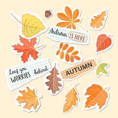 Autumn leaves and pieces of torn paper with text. Set of elements for collages. Cartoon objects with paper cut shapes. Orange,yellow, red, green and brown colors. Vector designs for banner, card.