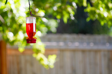 A red bird feeder hanging from a tree