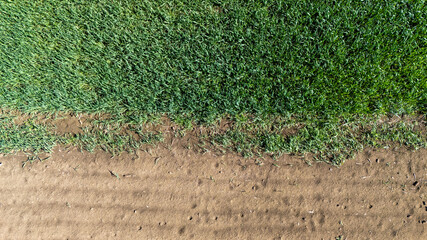 Aerial view of a green lawn juxtaposed with dry soil, highlighting the contrast between lush grass...