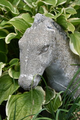 Donkey Statue in a Garden