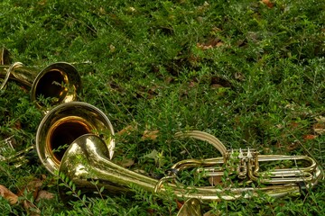 Brass instruments resting on green foliage: concept of music and nature