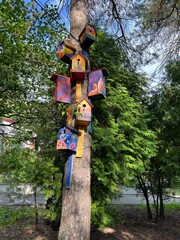 Colorful Wooden Bird Houses in the Park, Bird Care