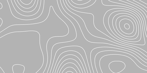 White wave paper curved reliefs abstract background. black and white background with swirling lines. geometric ripple patterns. Brown wood grain. fractal, dynamic, lines, vibrant, concentric wave. art
