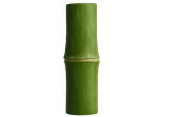 Green bamboo segment with visible node and internode, isolated on transparent background, ideal for compositions
