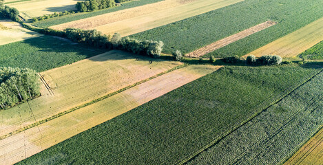 Aerial view of lush agricultural fields showcasing various crops and patterns, set against a clear...
