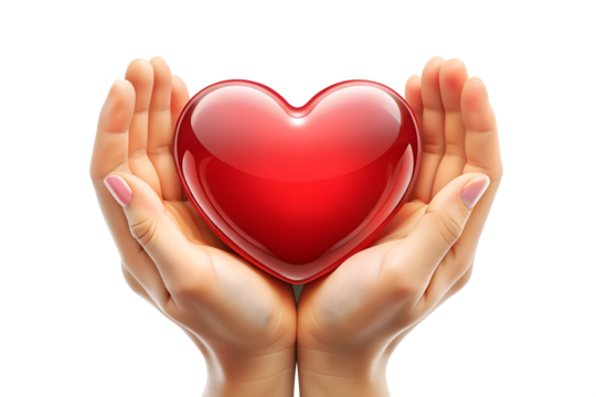 Hands Holding a Red Heart on Transparent Background